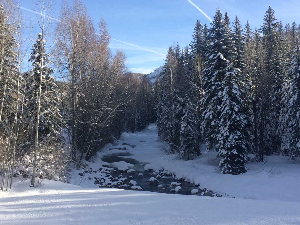 durango, colorado, florida river, winter, snow